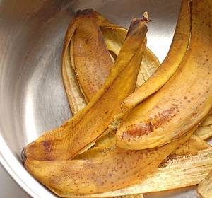 Способы приготовления удобрений из банановой кожуры есть разные
