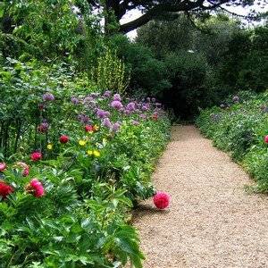 Английский сад включает раскидистые клумбы