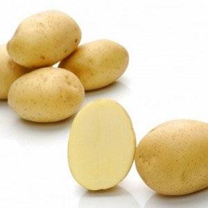 Сорт картофеля Минерва