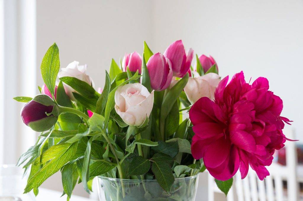 Лучшие цветы на 8 марта для любимых и коллег