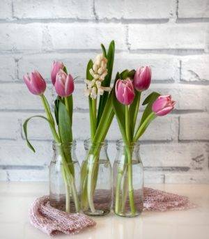 Лучшие цветы на 8 марта для любимых и коллег